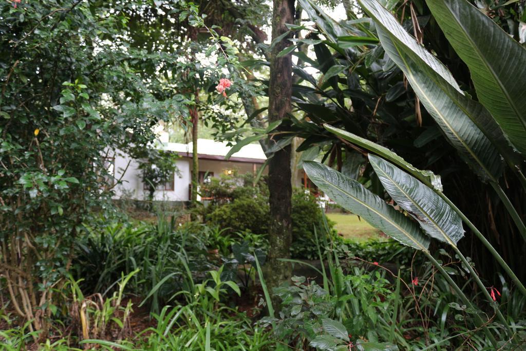 Softwaters Guesthouse Cottages Louis Trichardt Exterior foto